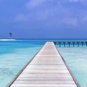 Meet your Posher, Claudia